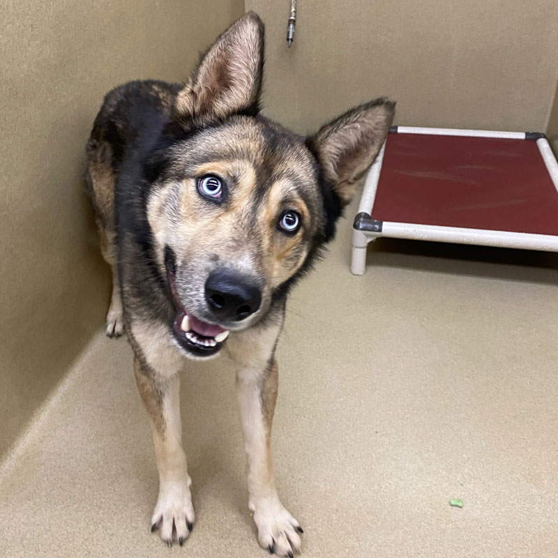 Tyco #21332 - Photo 2