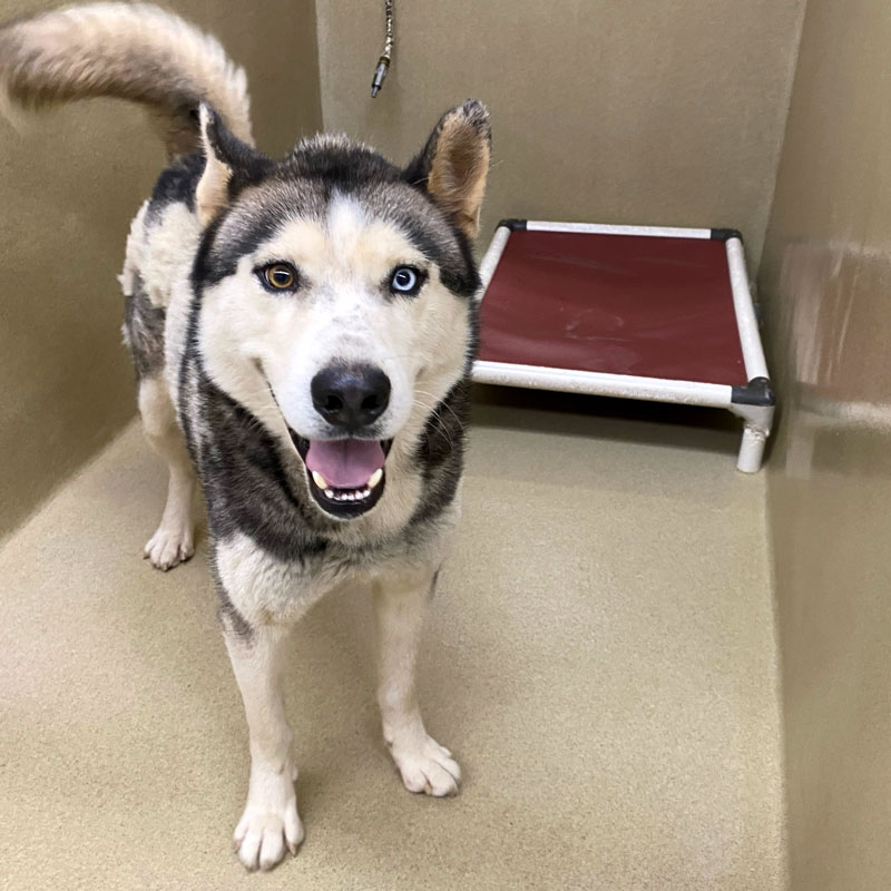 Yukon #21333 - Photo 2