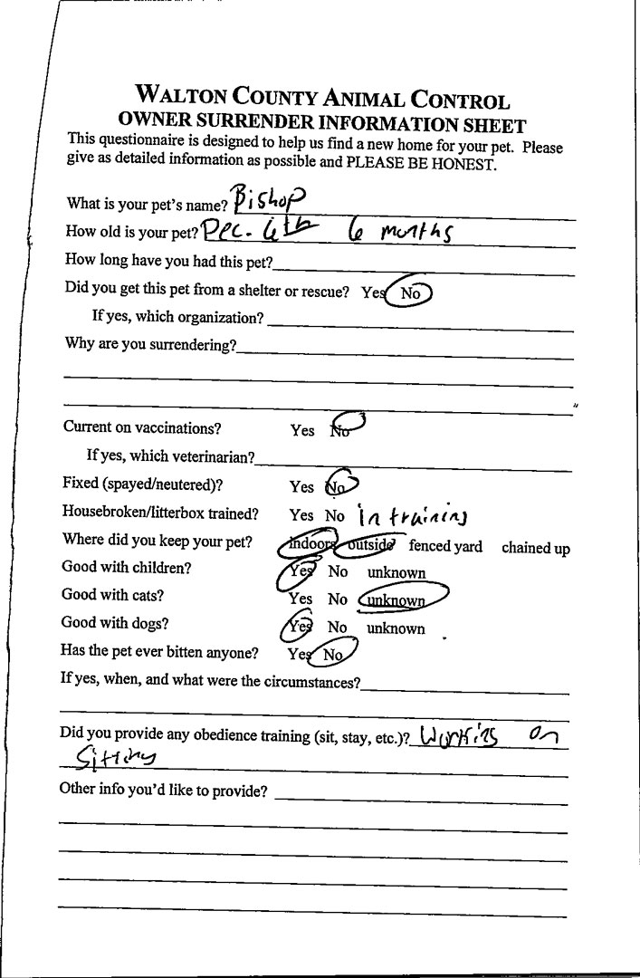 Bishop #20879 - Photo 2