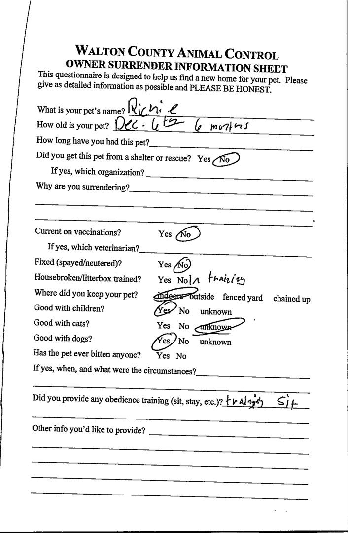 Richie #20878 - Photo 2