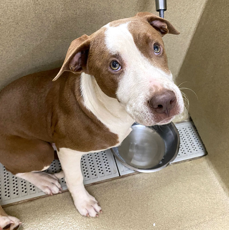 Richie #20878 - Photo 3