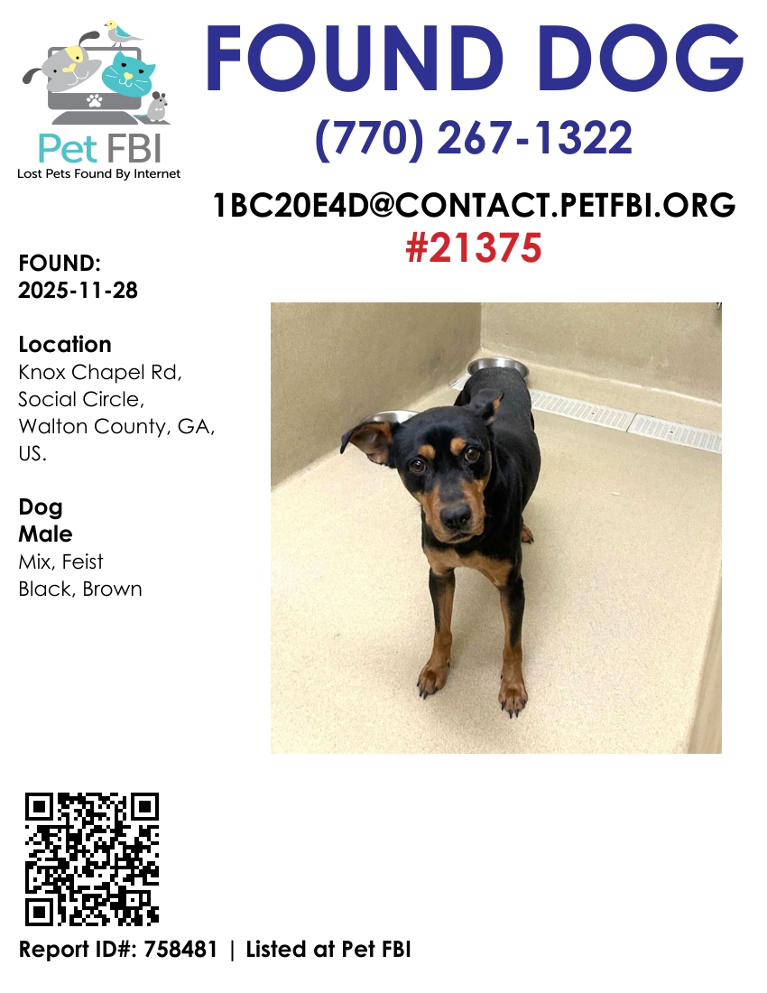 Jango #21375 - Photo 3