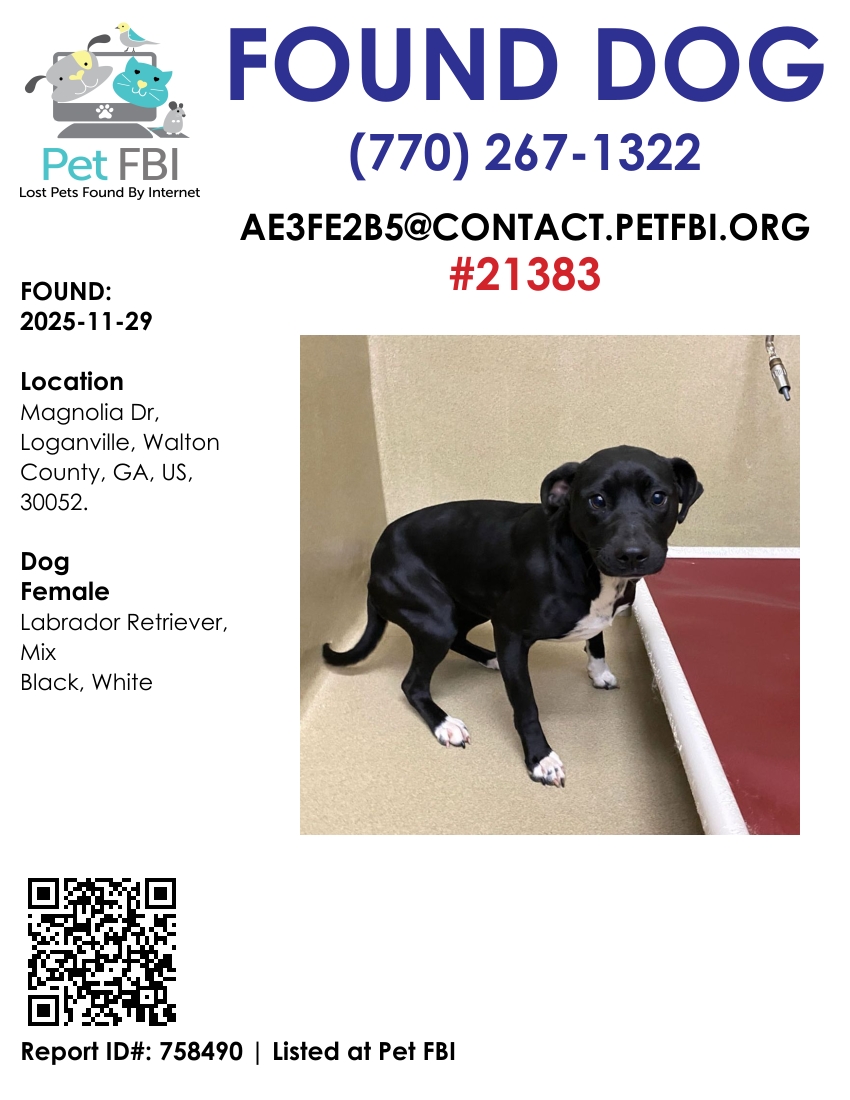 Abbi #21383 - Photo 2