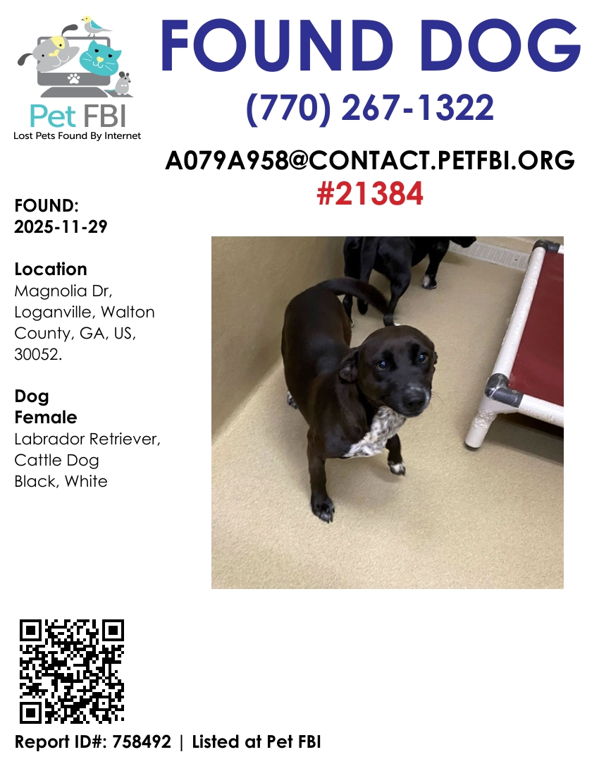 Addi #21384 - Photo 2