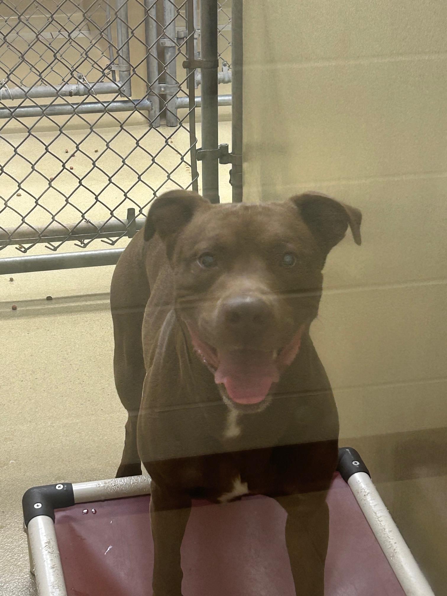 Zane #21639 - Photo 5