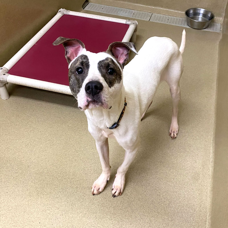 Racks #21648 - Photo 5