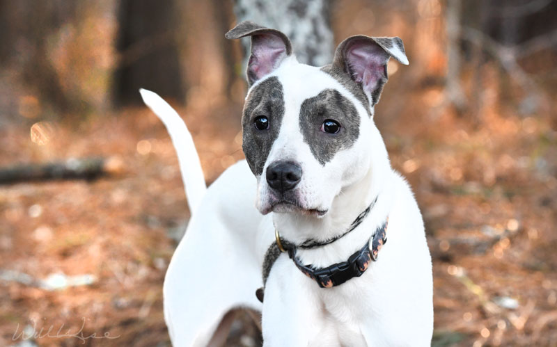 Racks #21648 - Photo 4