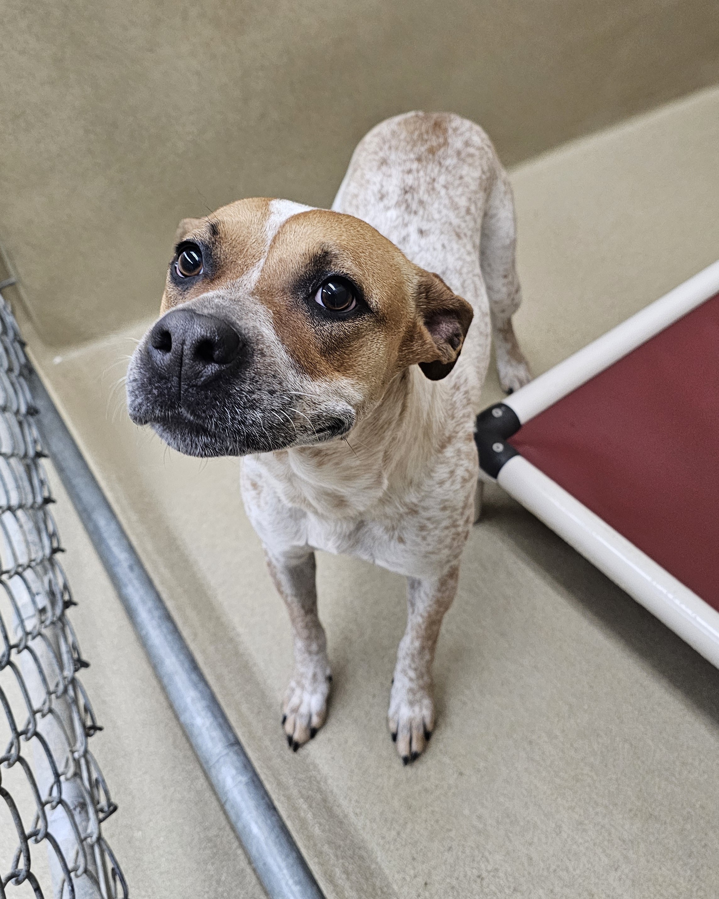 Winter #21698 - Photo 5