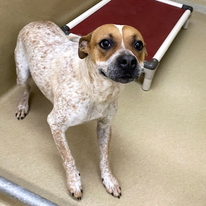 Winter #21698 - Photo 3