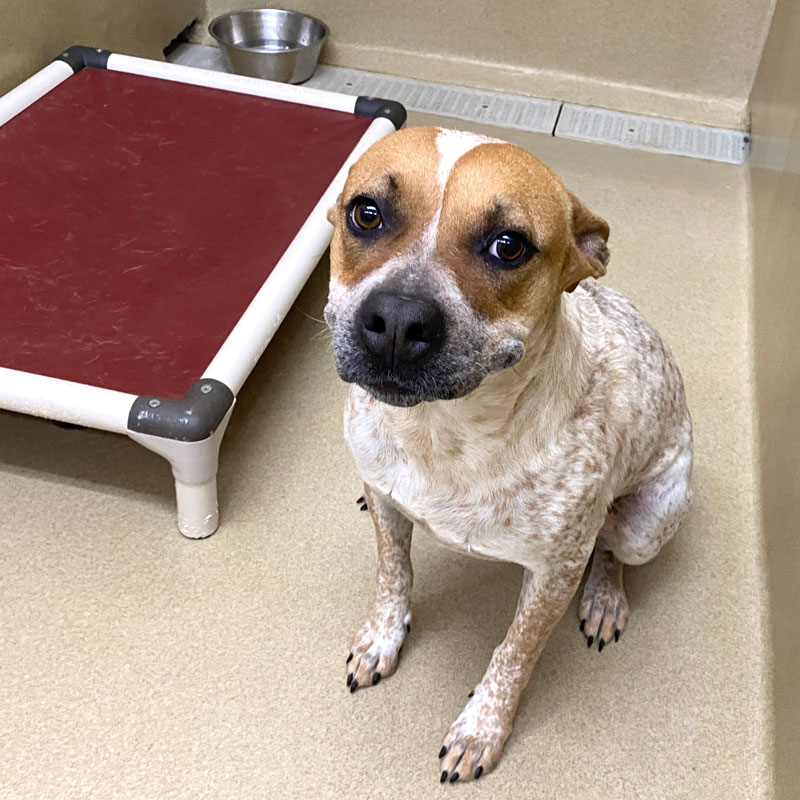 Winter #21698 - Photo 4