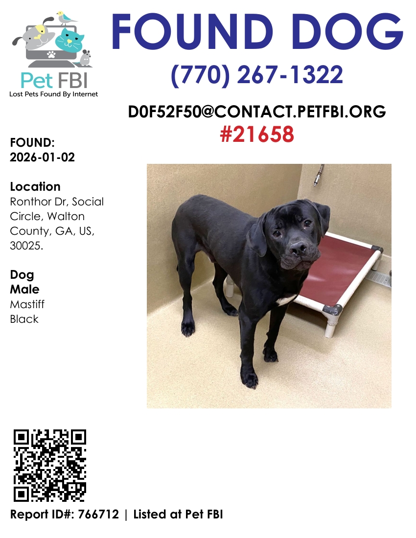 Baloo #21658 - Photo 4