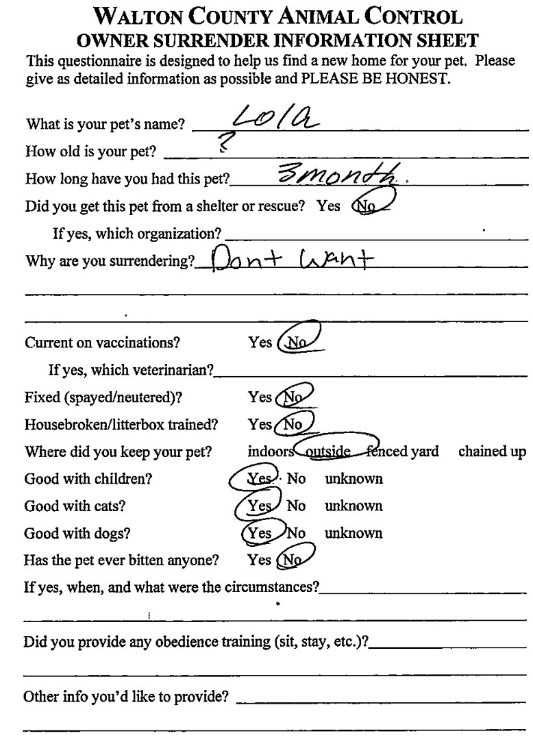 Lola #22071 - Photo 3