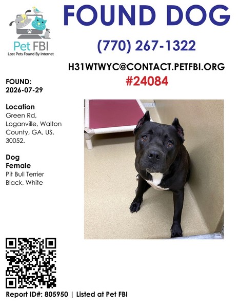 Diamond #23352 - Photo 8