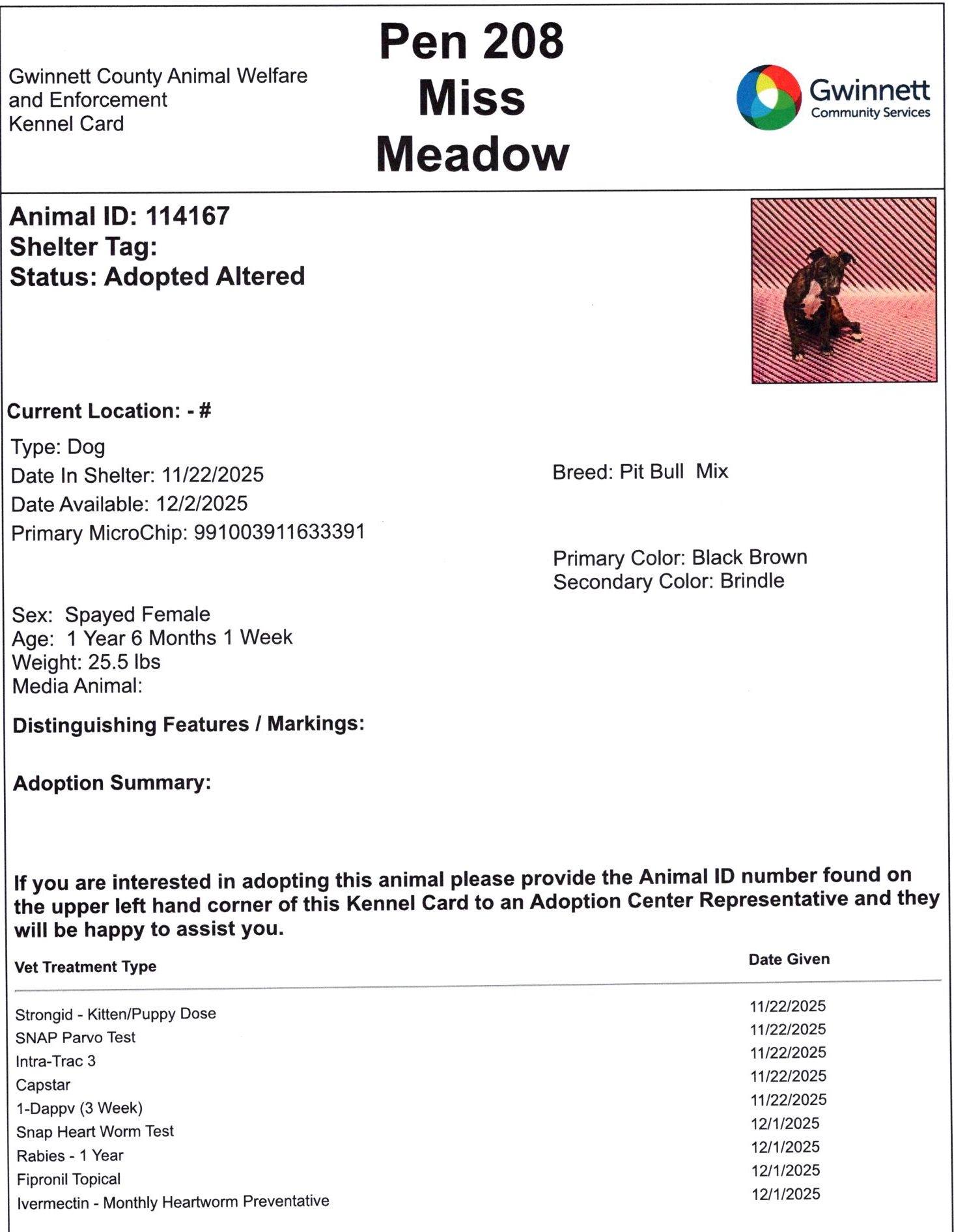 Miss Meadow #24778 - Photo 5