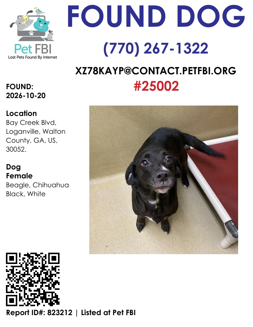Bagel #25002 - Photo 2